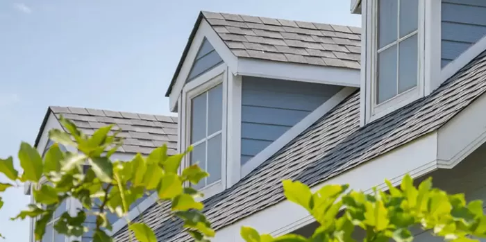 Asphalt Shingles