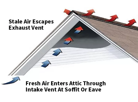 Breathing Life into Your Roof: The Importance of Attic Ventilation for Tile Longevity and Shape Preservation